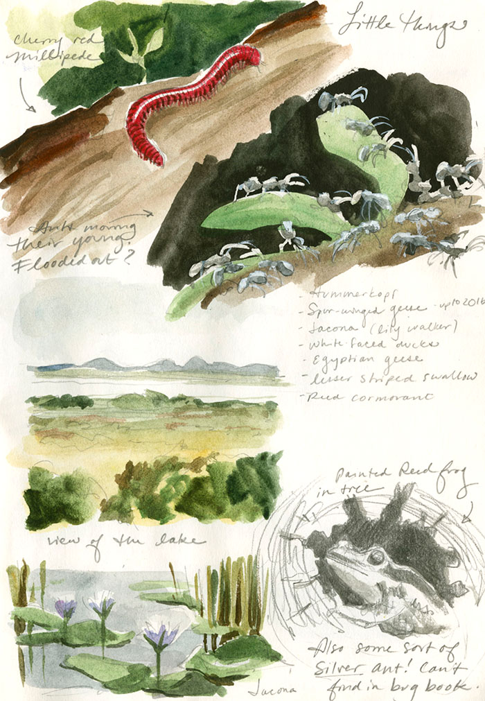A page of Jessica Lanan's sketchbook from Africa'
