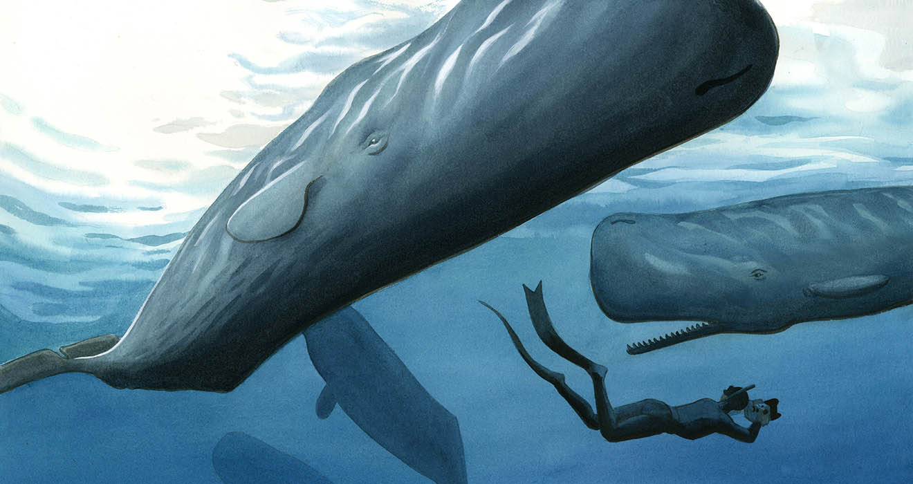 Watercolor and ink illustration by Jessica Lanan from 'In the World of Whales' showing a free diver swimming deep underwater with a large sperm whale swimming above him.